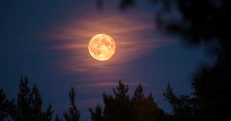 A última Super Lua do ano brilhará no céu no final de setembro