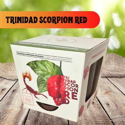 Купить набор для выращивания растений PLANT REPUBLIC Перец острый ...