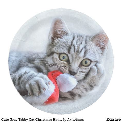 Cute Gray Tabby Cat Christmas Hat Xmas Paper Plate Cat