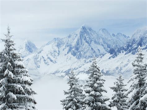 Fond Décran Des Arbres Paysage Montagnes La Nature Neige Hiver