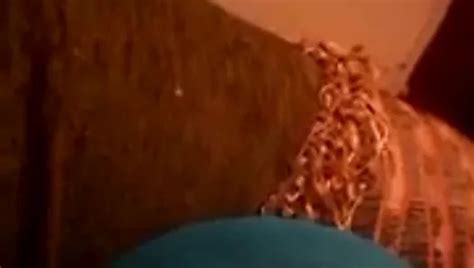 Ethiopian Tigray Husband Fucking His Wife Free Porn Eb Xhamster