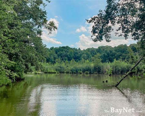 Exploring Nature's Treasures: Five Best Hiking Spots in Southern