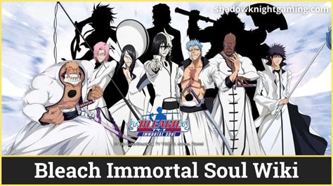 Bleach Immortal Soul Wiki Shadow Knight Gaming