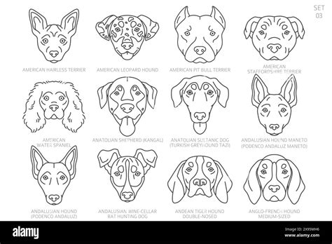 Dog Head Silhouettes In Alphabet Order All Dog Breeds Simple Line