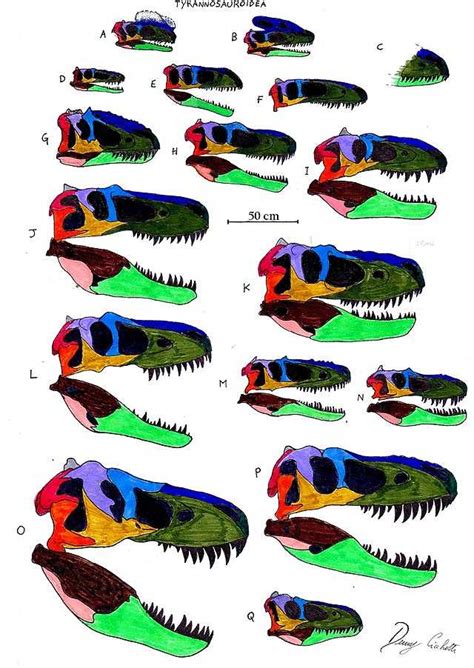 Tyrannosauroidea Wikiwand