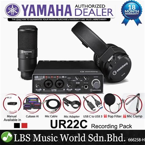 Yamaha Steinberg UR22C USB C Audio Interface Pack with ST-M01 Mic and ...