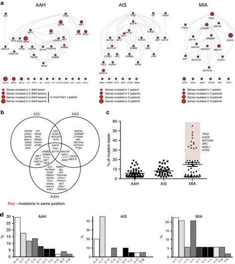 Mutational Landscape Varies Between The Three Stages Of Tumour