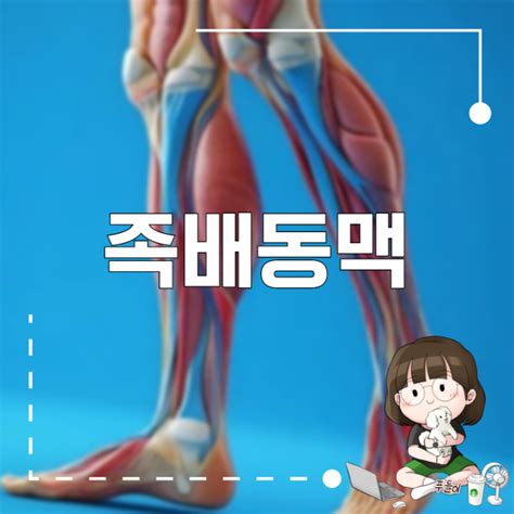 족배동맥 , 발 건강에서 뺄 수 없죠! : 네이버 블로그