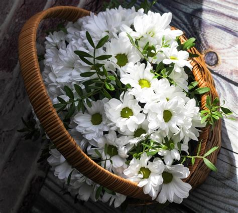 Что может быть милее, чем целая корзинка нежных ромашек ?! Всегда ...