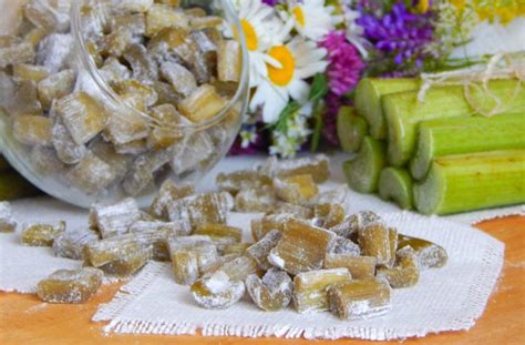 Рецепты цукатов. Цукаты из корок, айвы, дыни и ревеня