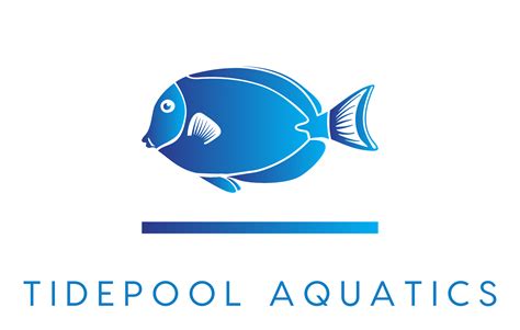 Tidepool Aquatics Your Local Reefing Fanatics