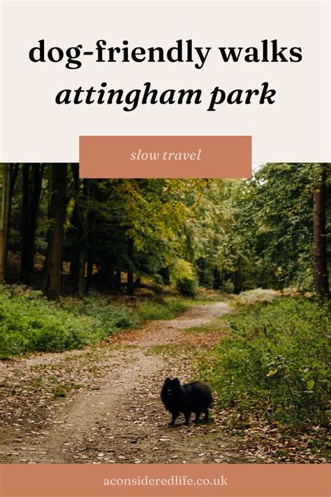 Attingham Park — A Considered Life