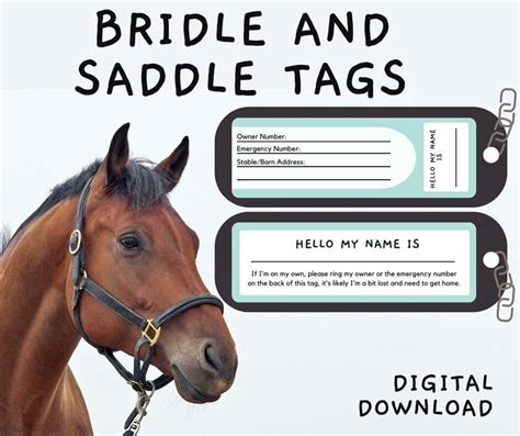 horse id tag bridle tag horse  tag halter tag horse  rider