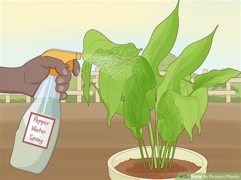 4 Simple Ways To Protect Plants Wikihow