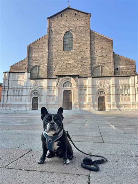 26 Pros And Cons Of Living In Bologna, Italy | Old Town Explorer