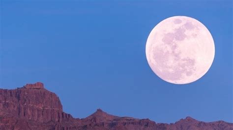 Pink Full Moon 2024 Here S How This Lunar Phase Impacts Your Zodiac Sign Astrology