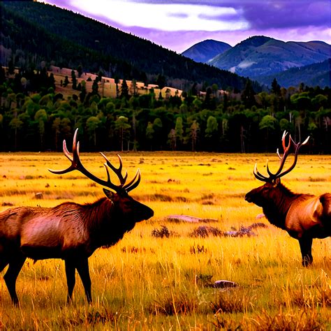 Download Elk Habitat Png Tvi45