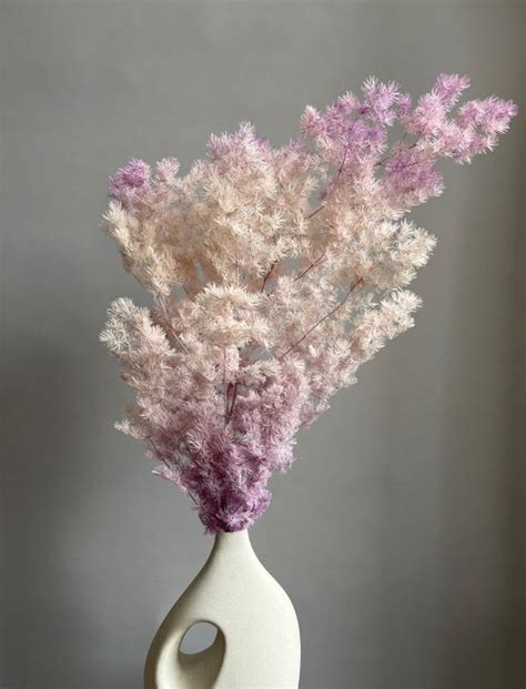 Стабилизированные цветы и зелень – купить в магазине | Сухоцветы ...