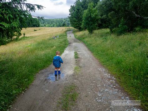 G Ra Bor Wkowa Szlak Z Prze Czy L Deckiej Na Wie Widokow