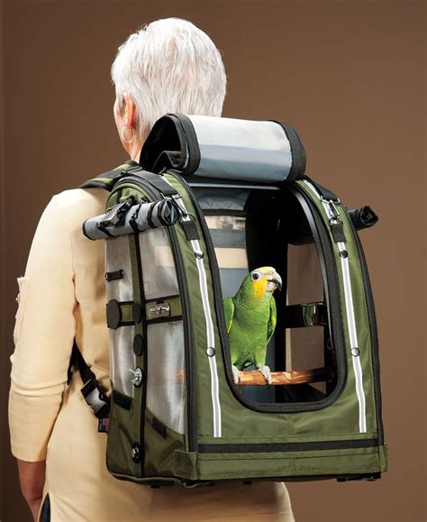 Parrot bird car seat perch – Artofit