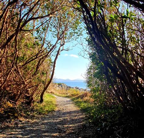 Walking Trails | Walking Trail In Kerry | Parknasilla Resort & Spa