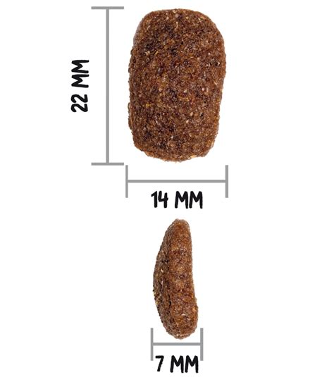 OWNAT CLASSIC COMPLET (DOG) | OWNAT