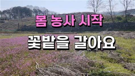 봄 농사 밭 갈이 로타리 치는날 광대나물 꽃이 가득 피었습니다 잡초 풀 Youtube