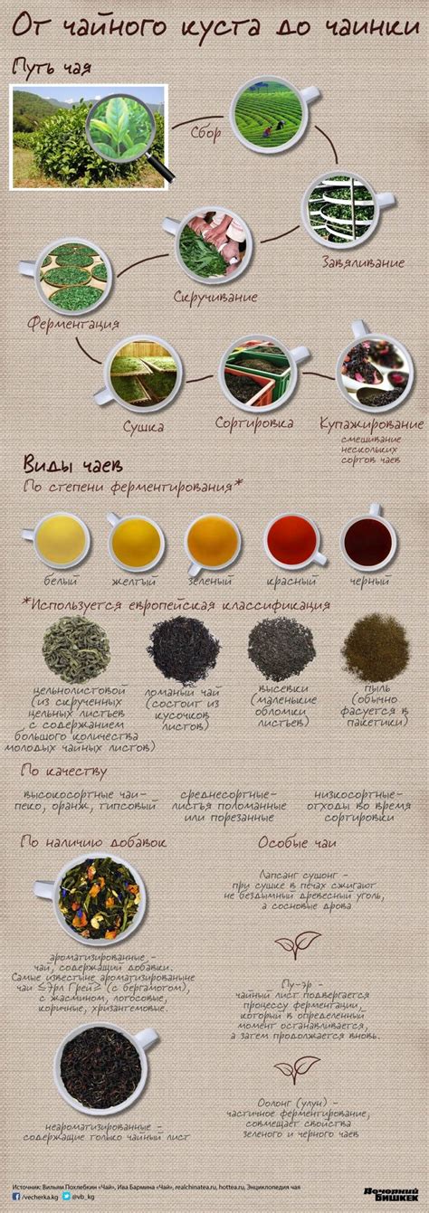 Сорта белого чая список фото - PwCalc.ru