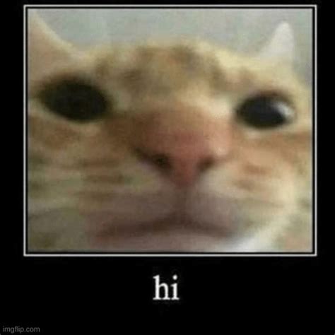 Hi Imgflip