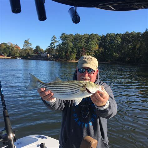 See Pixs * Cold Front Scatters the Lake Murray SC Stripers & Hybrid
