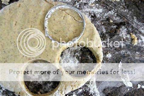 Oh My Pancake Herb Quinoa Biscuits