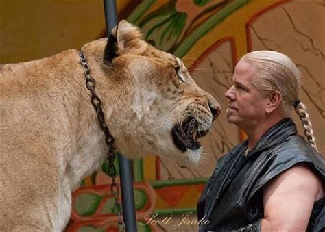 7 Best Liger Hercules Health Images On Pinterest Hercules Ligers And