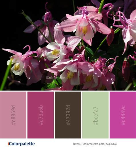 187 Orchid Color Palette Ideas In 2024 Icolorpalette