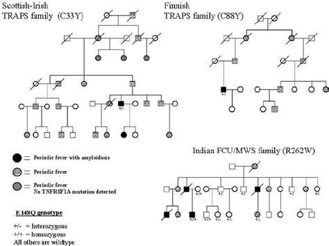 Pedigrees Of The Irish Scottish Finnish And Indian Families Showing