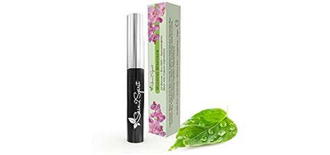 The Top 10 Best Organic Mascara Organic Aspirations