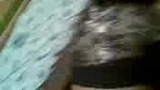 Ruchanie Pijaniej Zony W Dupe Polish Anal Anal Porn Xhamster