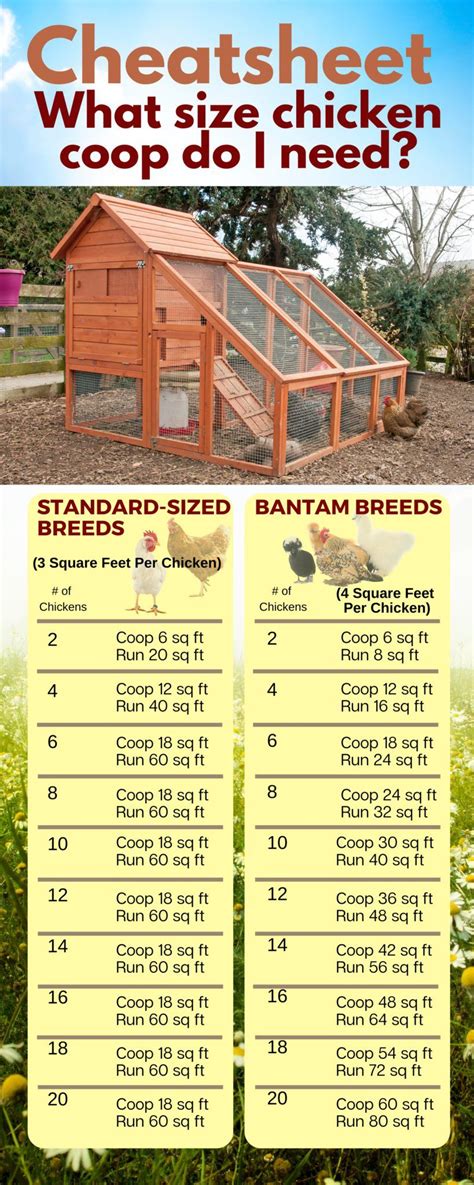 Free Chicken Coop Plan For Two To Four Chickens Free Chicken Coop