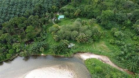 Tanah Kampung Jahang Gopeng Ejen Hartanah Perak Ejen Hartanah Ipoh