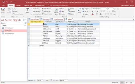 Ms Access Action Queries