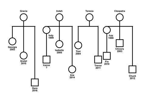 The surprising surname of french roots found in your family tree 4