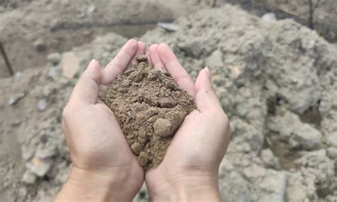 jenis jenis tanah  indonesia lengkap  ciri