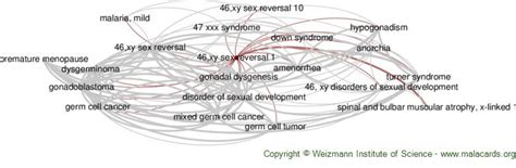 Xy Sex Reversal Disease Malacards Research Articles Drugs