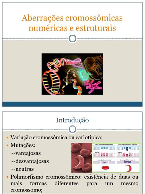 As Estruturas Representadas Pelos Números 1e4 Apresentam Quantos Cromossomos - Aberrações Cromossômicas: Estruturas e Números | PDF | Cromossomo | Mutação