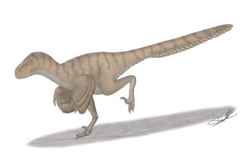 Atrociraptor tiger by Angeloraptorex230 on DeviantArt