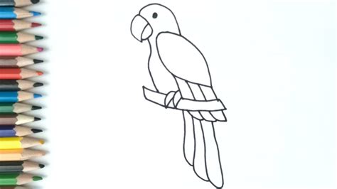 Como Desenhar Um Papagaio Fácil - Como Desenhar Um Papagaio Para Criancas Fácil Coloração Animais