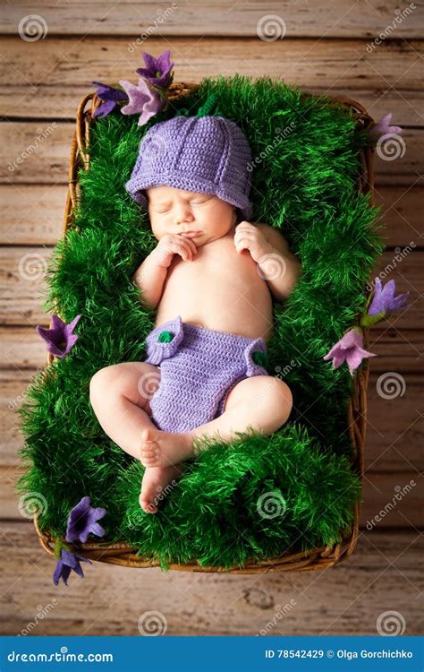 Sleeping Newborn Baby In A Wicker Basket Stock Image Image Of Knit