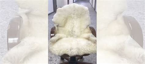 Шикарные Натуральные Овеечьи Шкуры купить в Москве | Товары для дома и ...