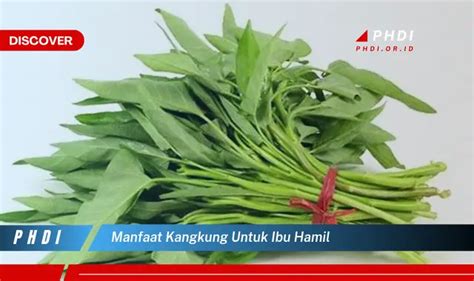 Temukan Manfaat Kangkung Untuk Ibu Hamil Yang Jarang Diketahui