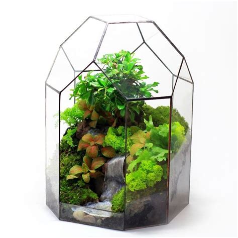 Как сделать флорариум своими руками