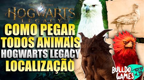 Como PEGAR Os 13 ANIMAIS FANTÁSTICOS Em Hogwarts Legacy Localização